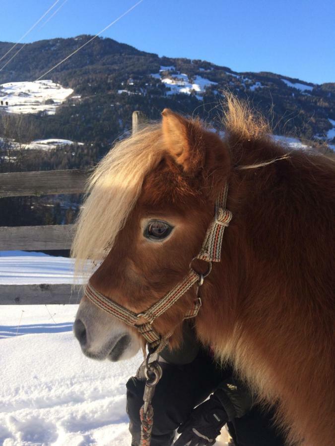 Apart.Pitztal Arzl im Pitztal Dış mekan fotoğraf