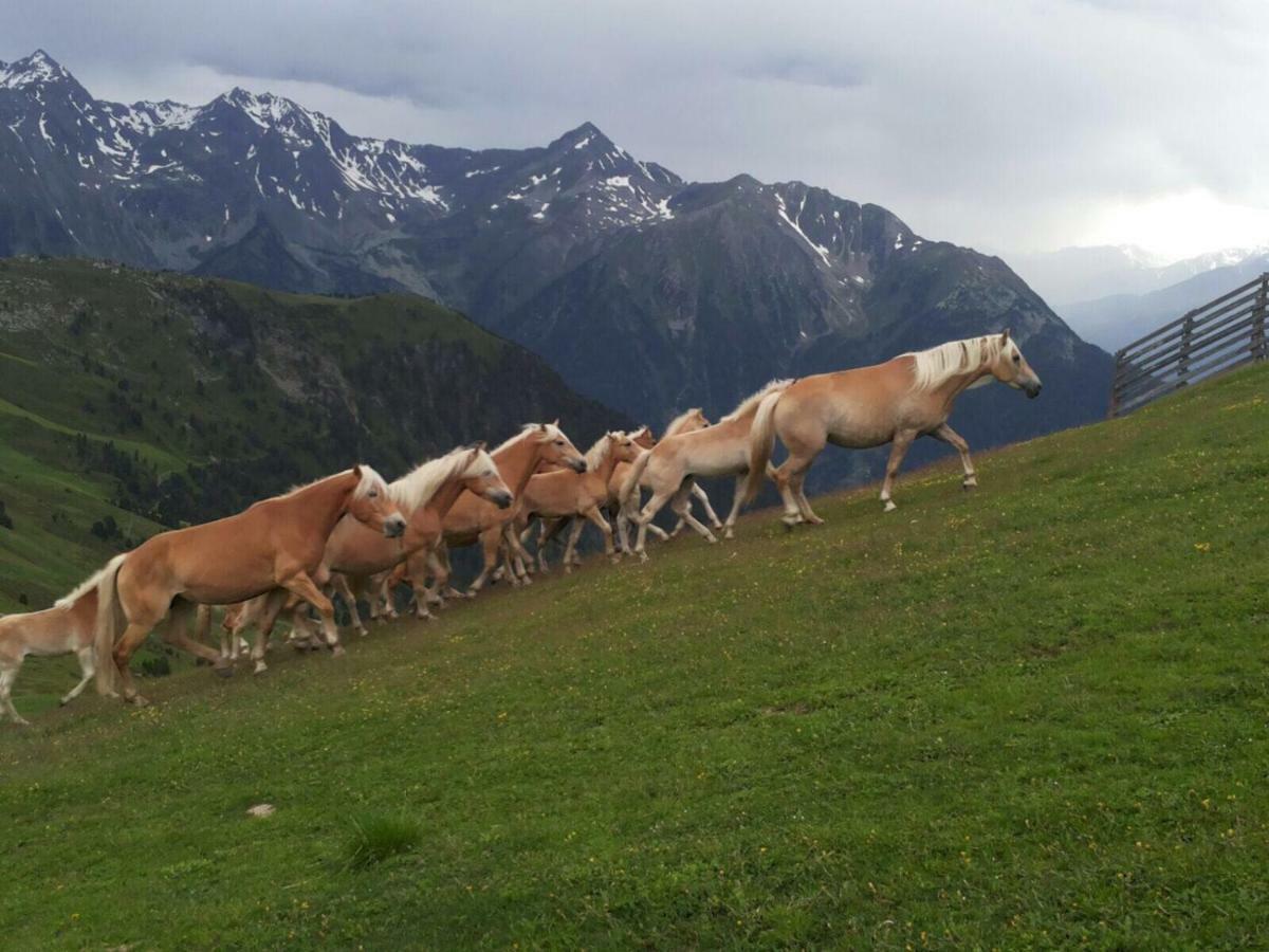 Apart.Pitztal Arzl im Pitztal Dış mekan fotoğraf