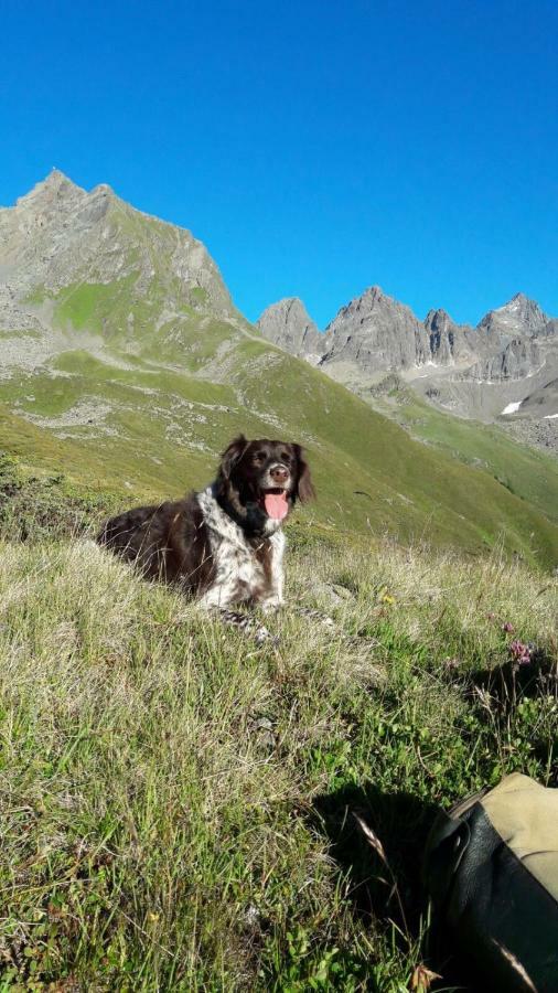Apart.Pitztal Arzl im Pitztal Dış mekan fotoğraf